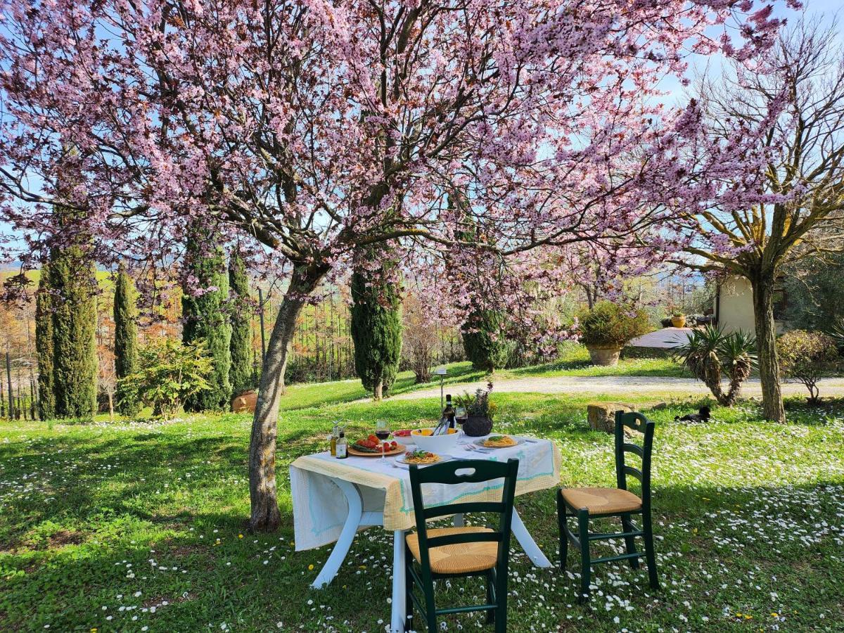 Agriturismo Lucertola Montecatini Val di Cecina Buitenkant foto